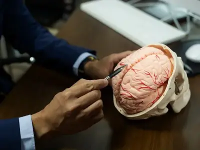ایران مغز مصنوعی آزمایشگاهی با نورون‌های انسانی ساخت