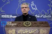 باقایی: ارائه پشتیبانی فنی و کمک به متجاوزان غیرقابل قبول است