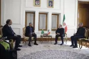 دیدار وزیر کشور پاکستان با عراقچی در تهران برای بررسی همکاری‌ها