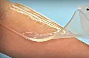 هیدروژل کلاژن ماهی نویدبخش تسریع التیام زخم‌ها