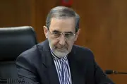 دستیار رهبر انقلاب به کشورهای کوچک منطقه هشدار سیاسی داد