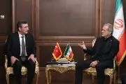 معاون رئیس‌جمهور پیام تسلیت رئیس‌جمهور ترکیه به آیت‌الله را ابلاغ کرد